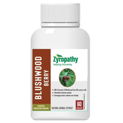 BLUSHWOOD BERRY Image